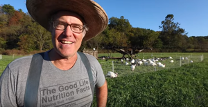 How Joel Salatin & Polyface Farms Changed the Face of Modern Agriculture